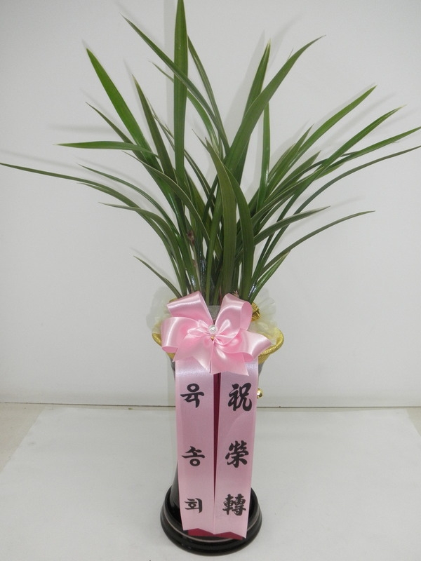 2014��1��9��