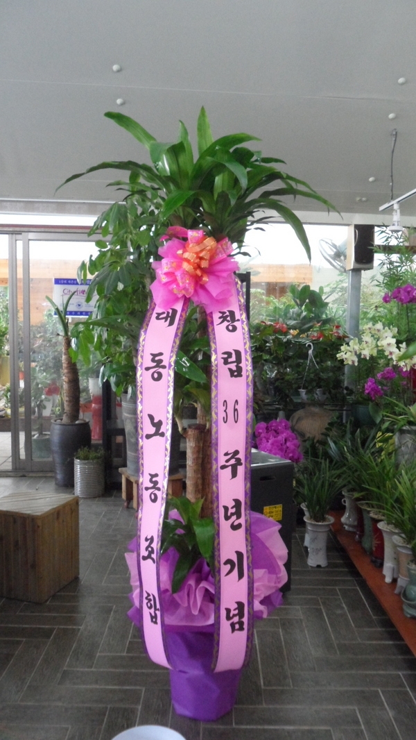 2014��1��9��