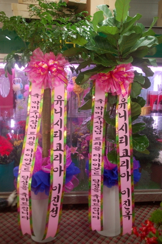 2014��1��9��