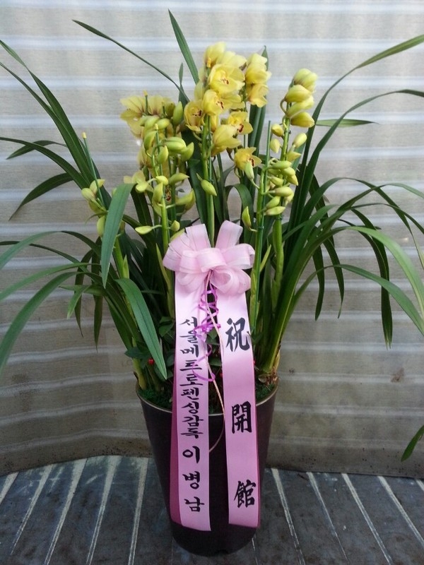 2014��1��9��