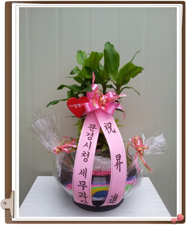 2014��1��9��