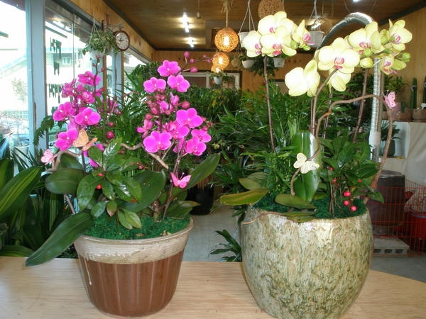 2014��1��14��