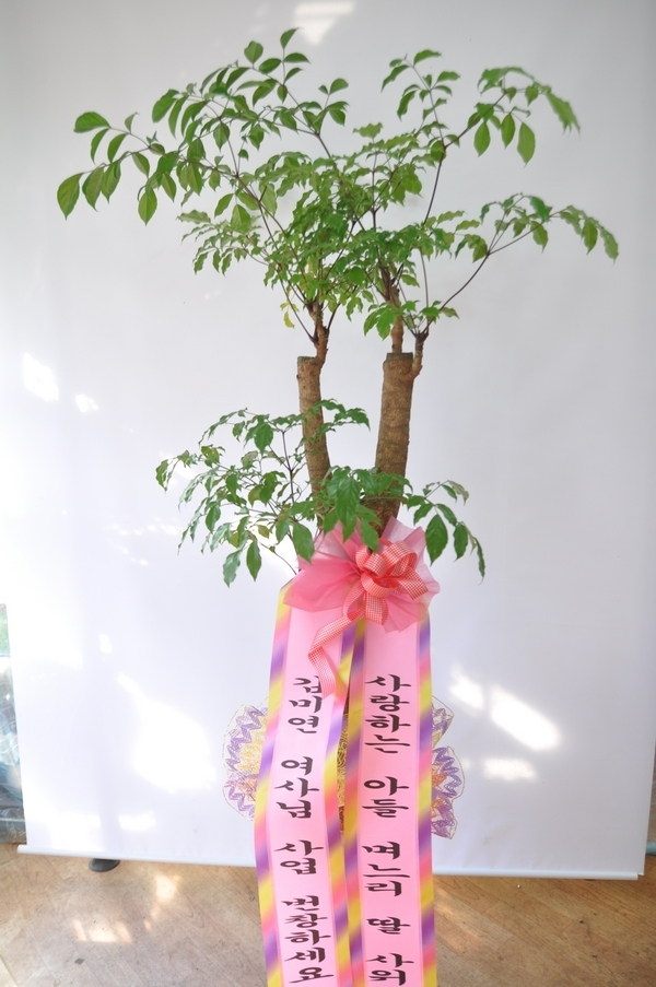 2014��1��14��