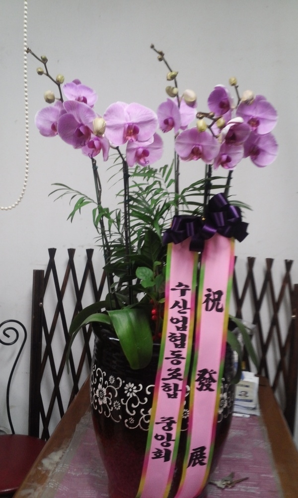 2014��1��14��