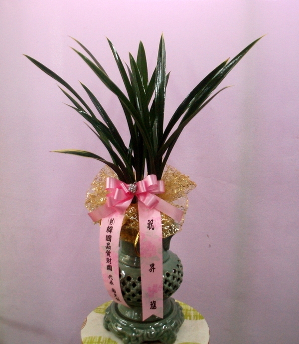 2014��1��14��