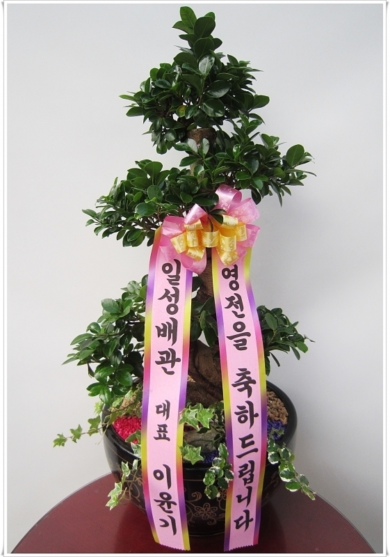 2014��1��14��