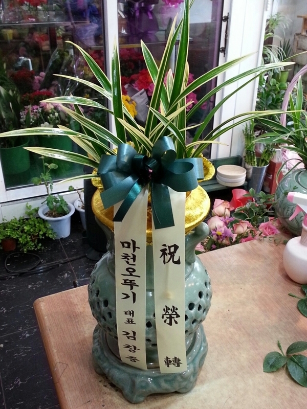 2014��1��20��(��)