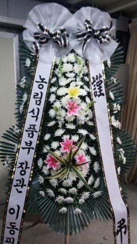 2014��1��20��(��)