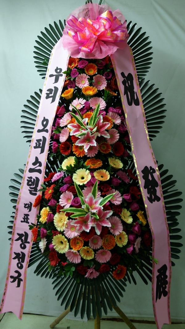 2014��1��20��(��)