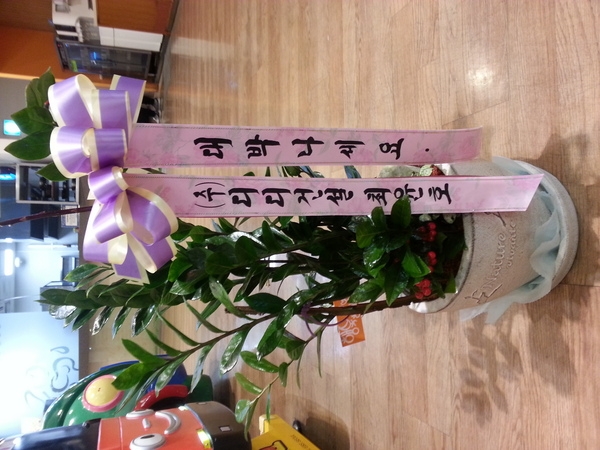 2014��1��20��(��)