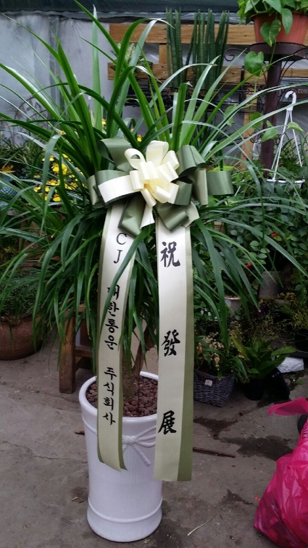 2014��1��20��(��)