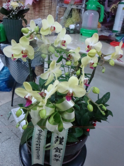 2014��1��20��(��)