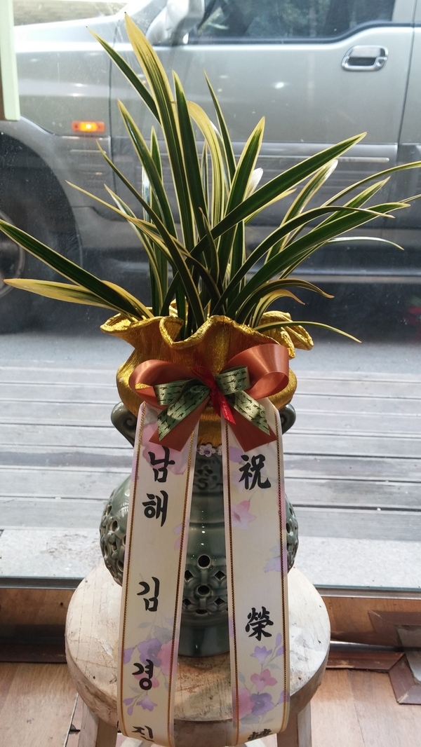 2014��1��20��(��)