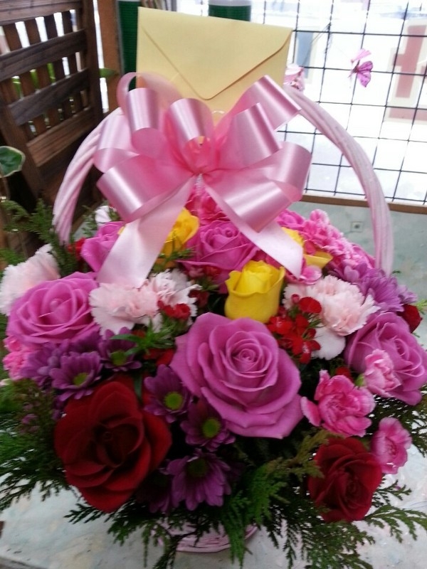 2014��1��20��(��)