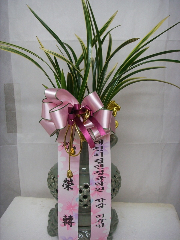 2014��1��20��(��)