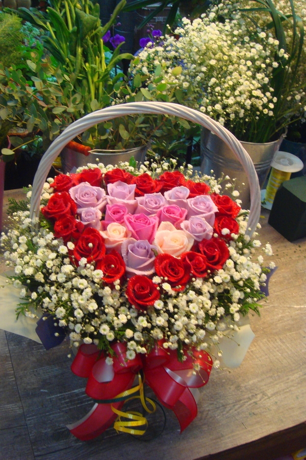 2014��1��20��(��)