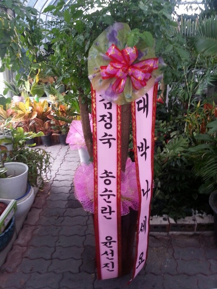 2014��1��20��(��)