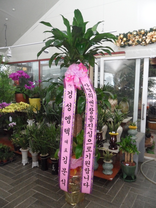 2014��1��20��(��)