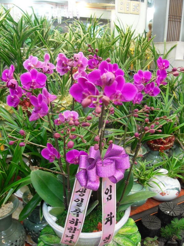 1��27��(������)