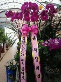 2014��2��3��(��)