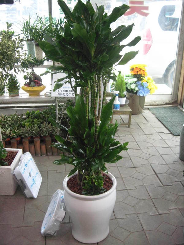 2014��2��3��(��)