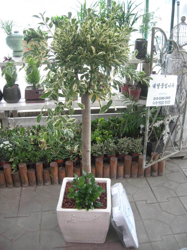 2014��2��3��(��)