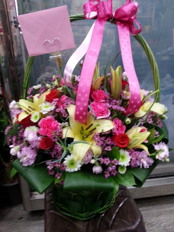 2014��2��3��(��)