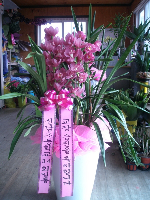 2014��2��11��(ȭ����)