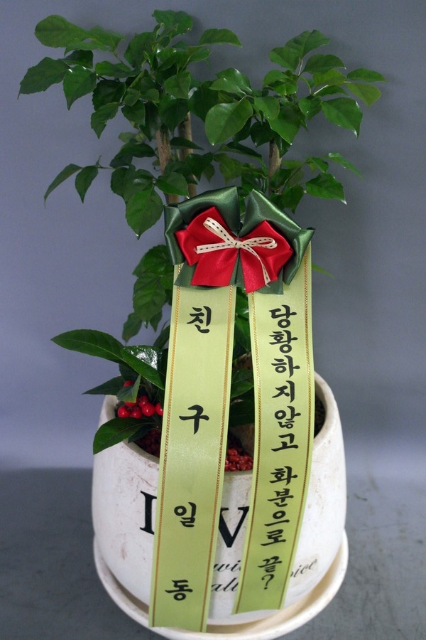 2014��2��11��(ȭ����)