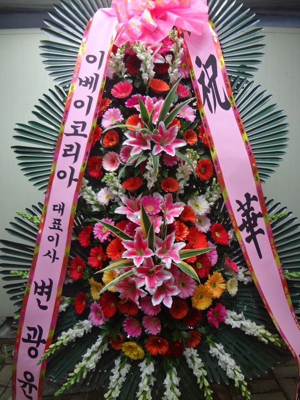 2014��2��11��(ȭ����)