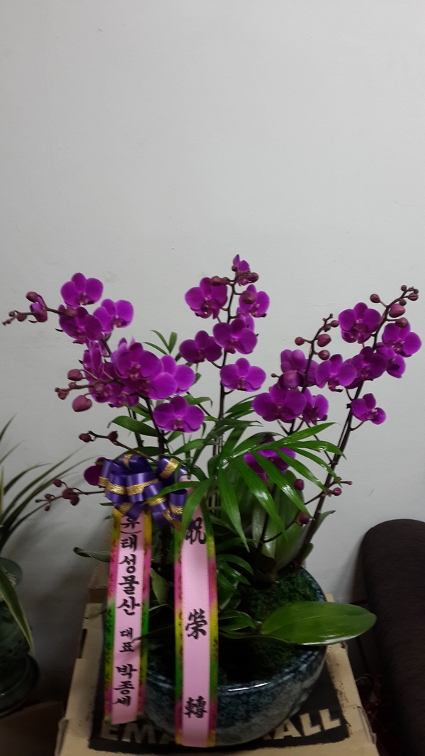 2014��2��11��(ȭ����)