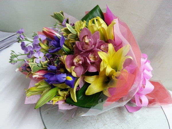 2014��2��11��(ȭ����)