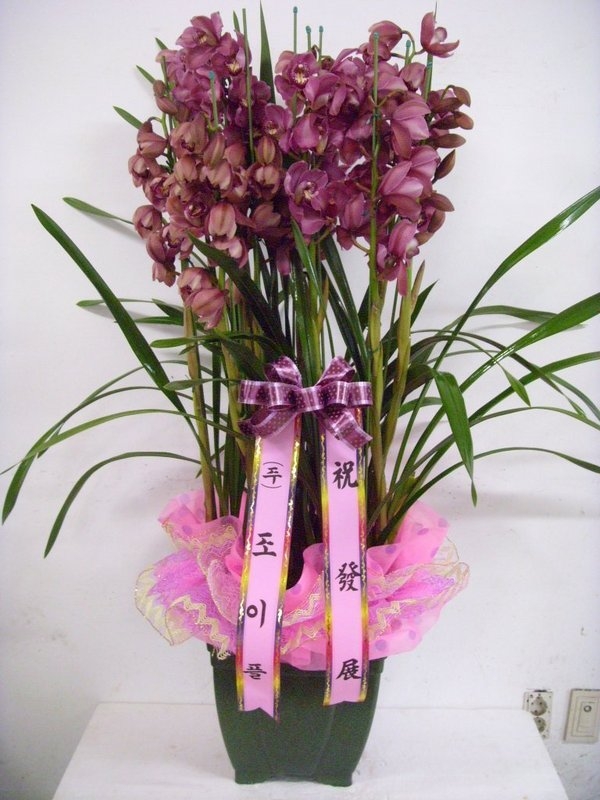 2014��2��11��(ȭ����)