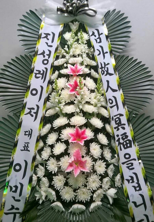 2014��2��11��(ȭ����)