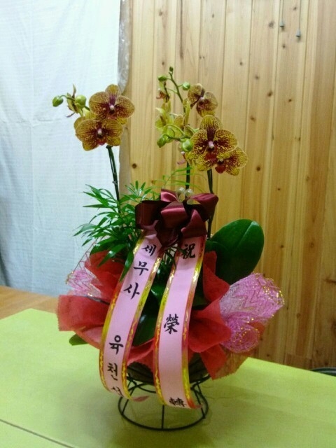 2014��2��11��(ȭ����)