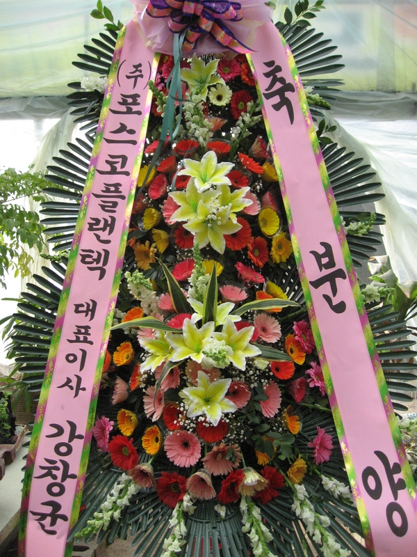 2��14��(���߱��ǻ����������)