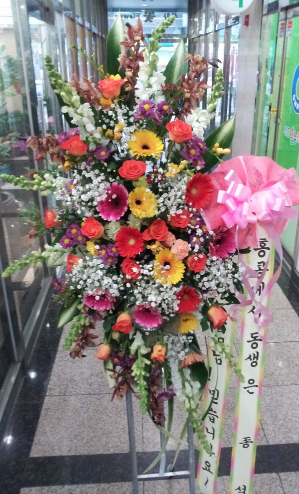 2��14��(���߱��ǻ����������)