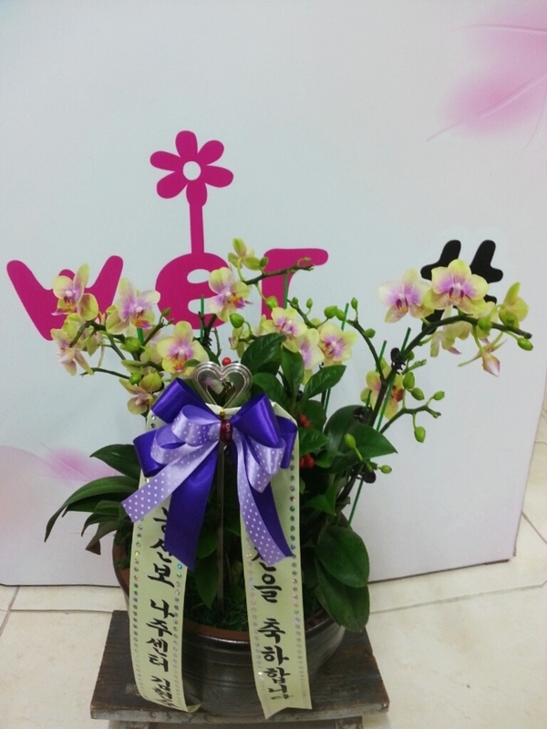 2��14��(���߱��ǻ����������)