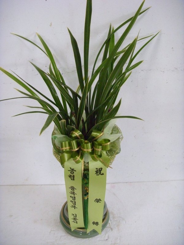 2��14��(���߱��ǻ����������)