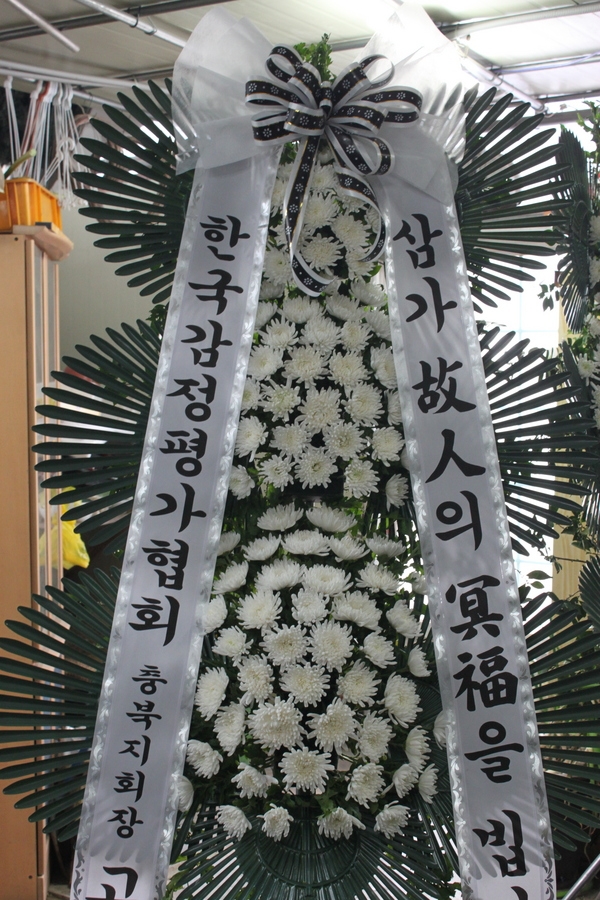 2��14��(���߱��ǻ����������)