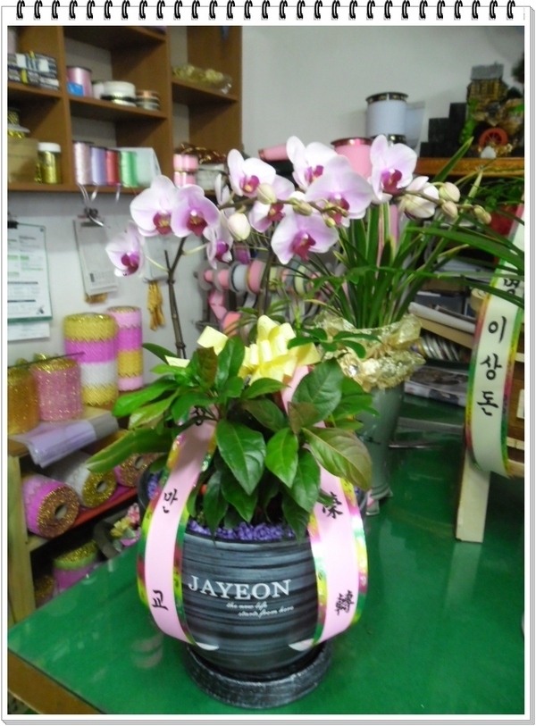 2��14��(���߱��ǻ����������)