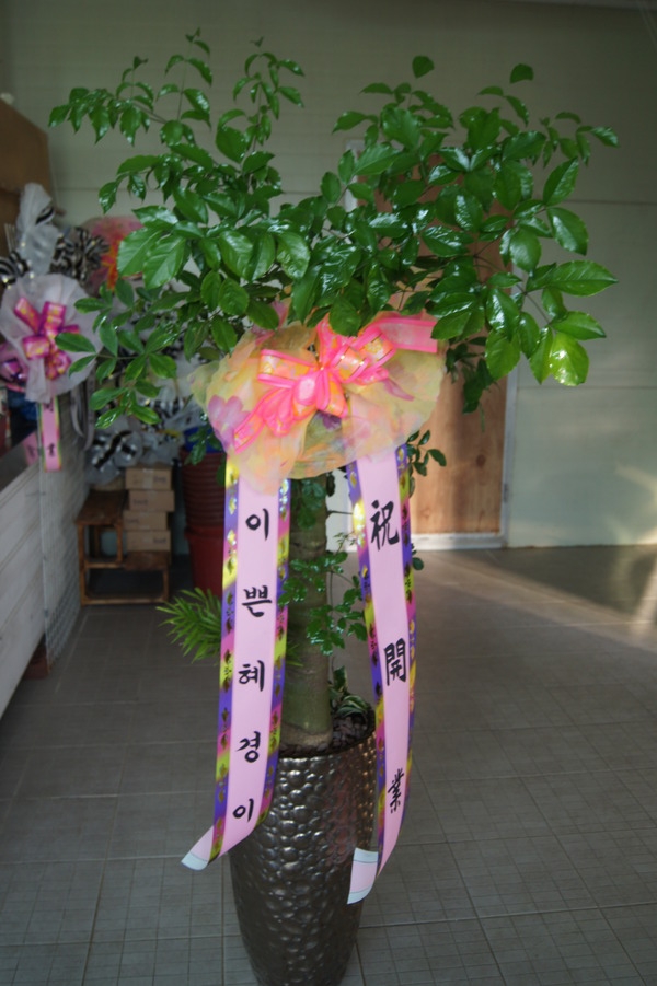 2��14��(���߱��ǻ����������)