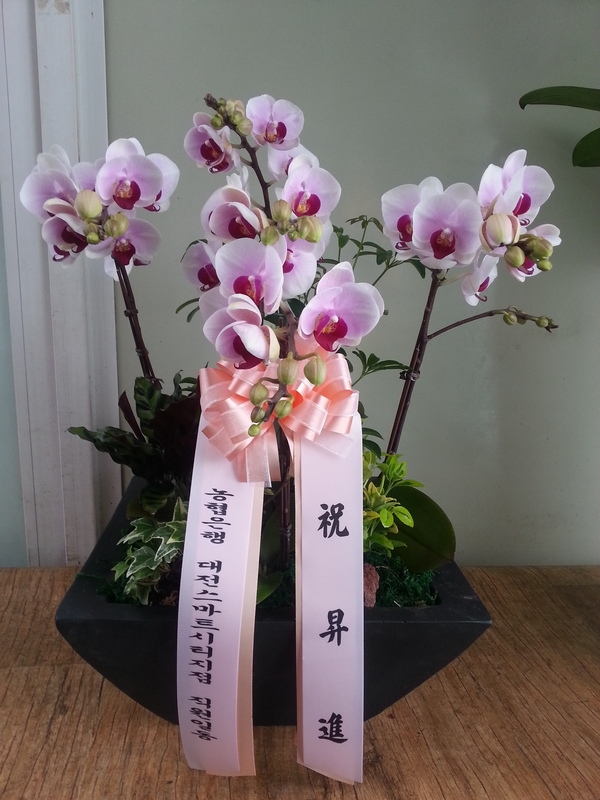 2��14��(���߱��ǻ����������)