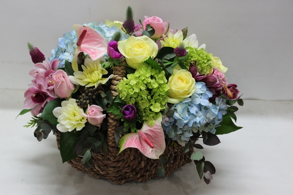 2��16��(������)