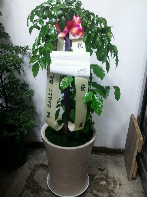 2��16��(������)