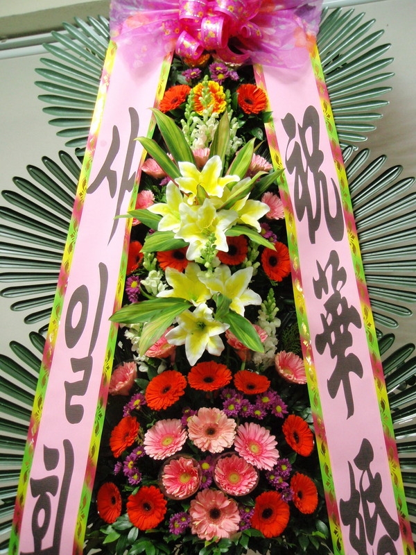 2��16��(������)