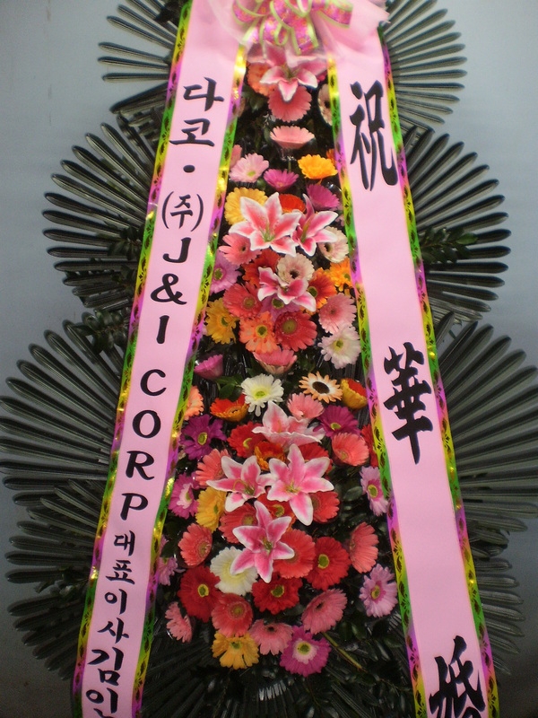 2��16��(������)