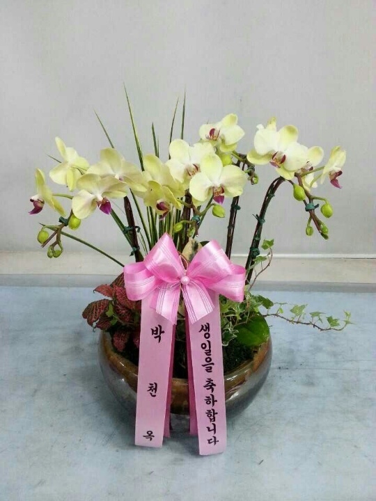 2��16��(������)