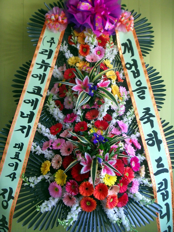 2��16��(������)