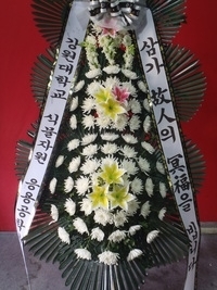 2��16��(������)